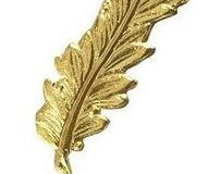 insigne-palme-major