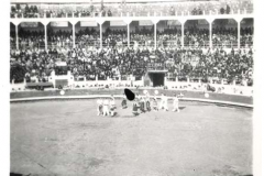1945-dax-5